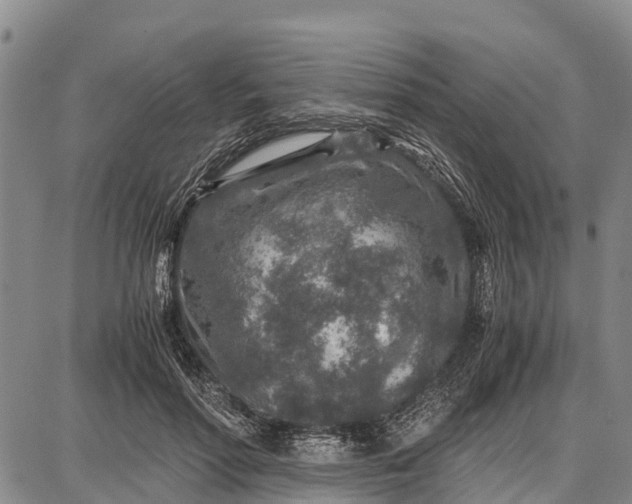 X0000087690598200705181756