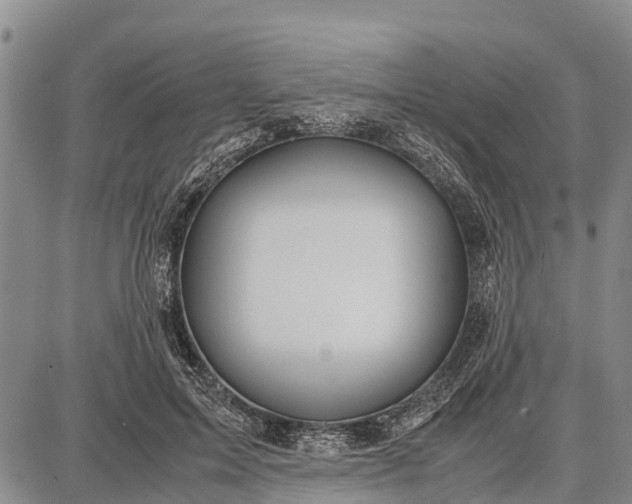 X0000087690599200705181756