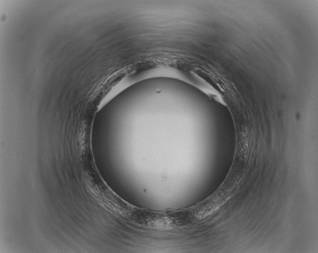 X0000087690600200705181756