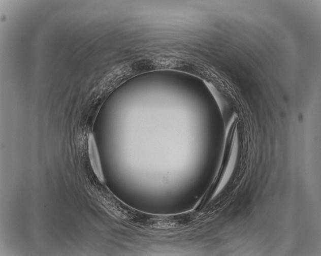 X0000087690601200705181756