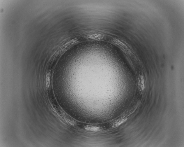 X0000087690602200705181756