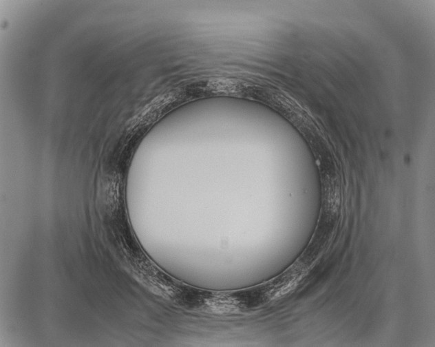 X0000087690603200705181756