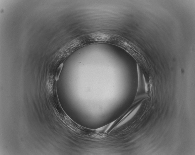 X0000087690604200705181756