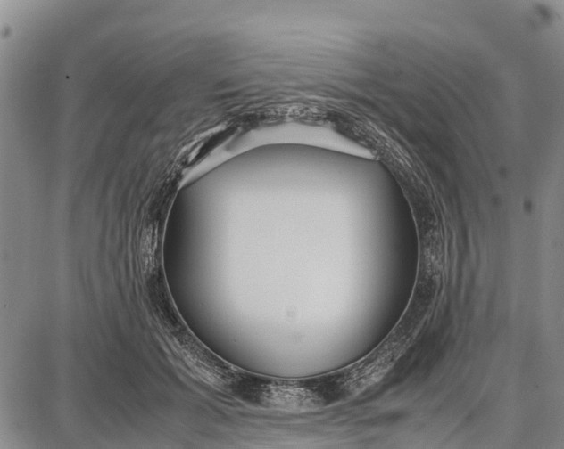 X0000087690605200705181756