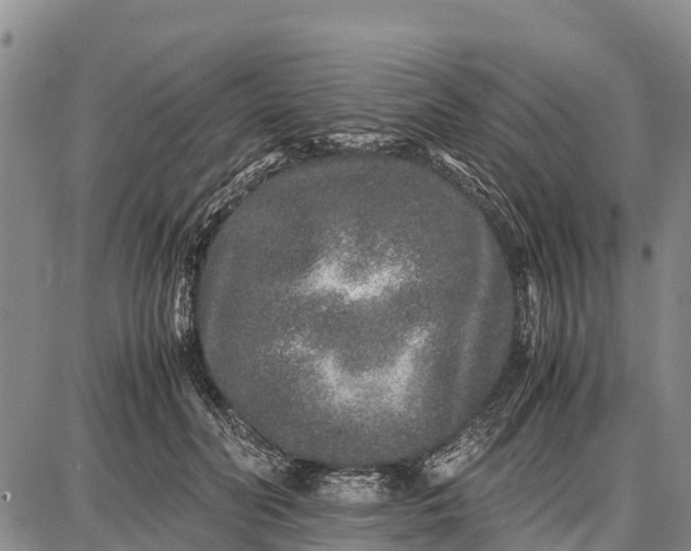 X0000087690606200705181756