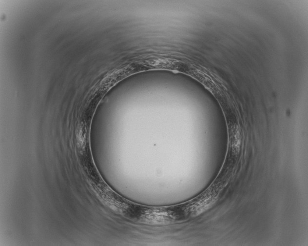 X0000087690607200705181756