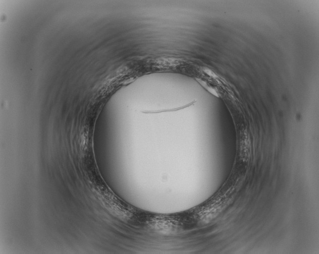 X0000087690608200705181756