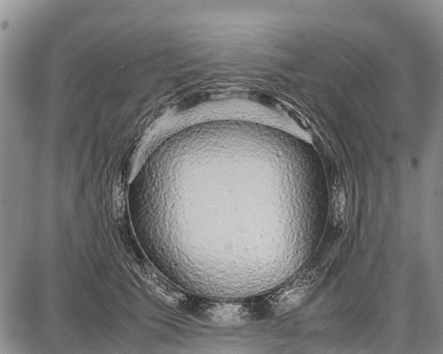 X0000087690609200705181756