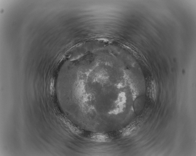 X0000087690610200705181756