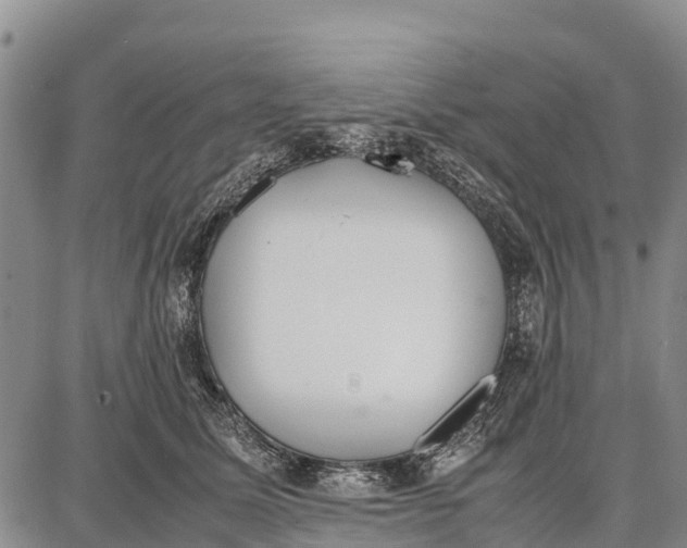 X0000087690611200705181756