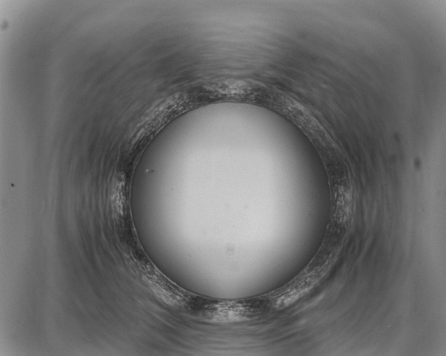 X0000087690612200705181756