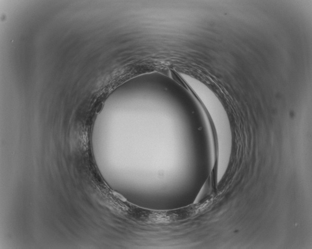 X0000087690613200705181756