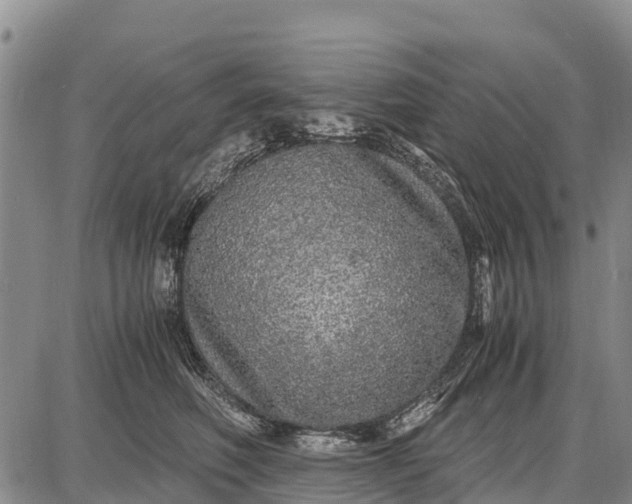 X0000087690614200705181756