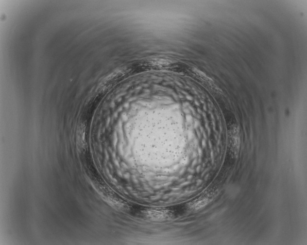 X0000087690615200705181756