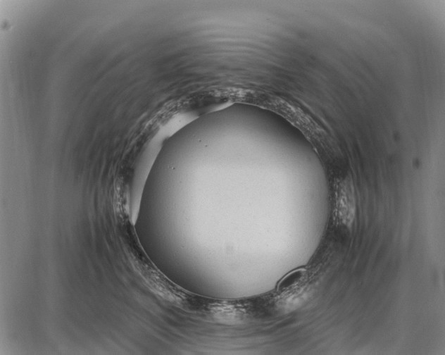 X0000087690616200705181756