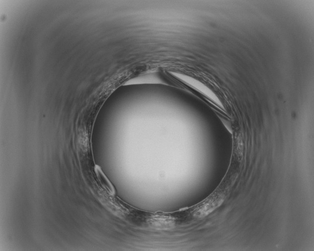 X0000087690617200705181756