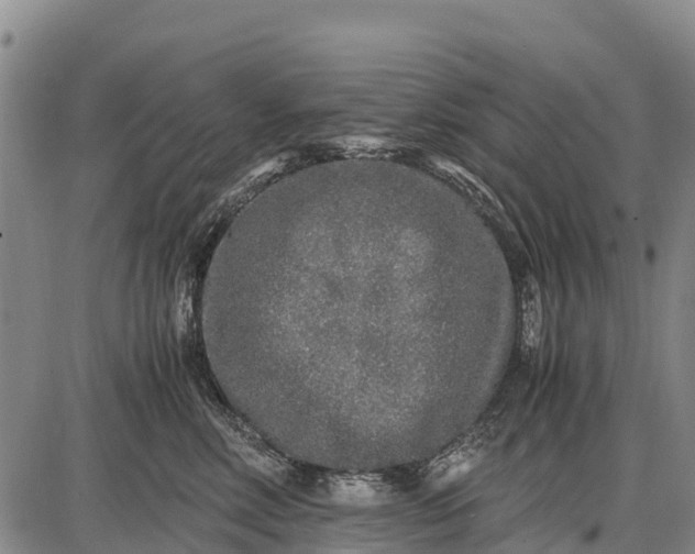 X0000087690618200705181756