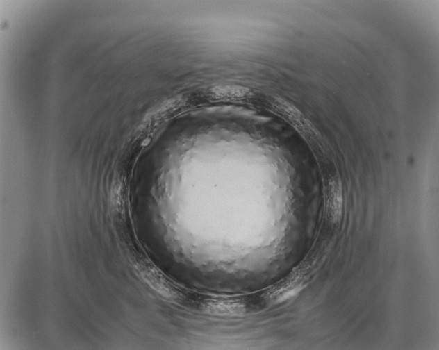 X0000087690619200705181756