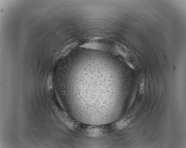 X0000087690620200705181756