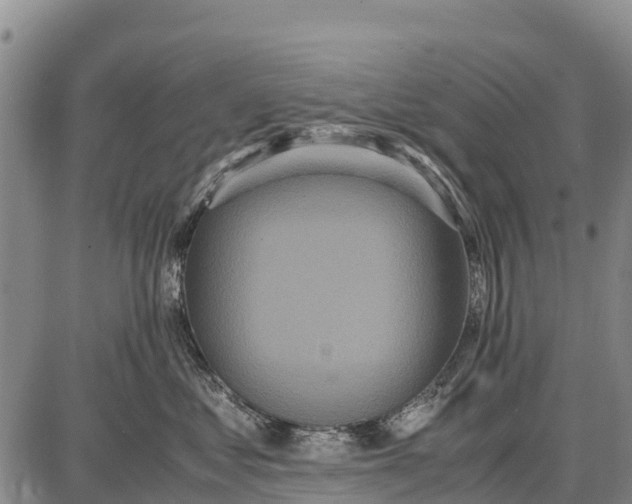 X0000087690621200705181756