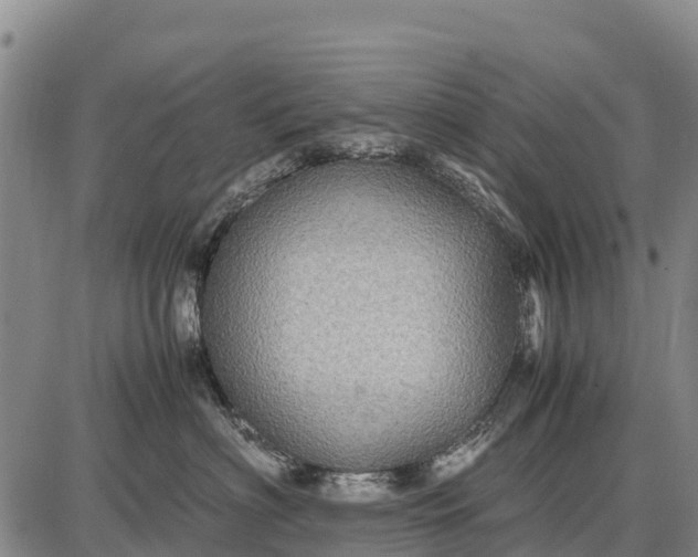 X0000087690622200705181756