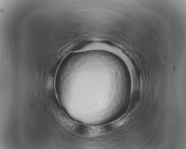 X0000087690623200705181756