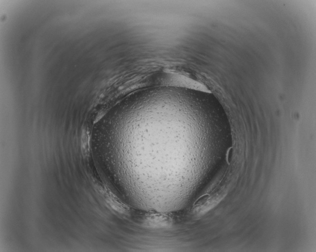 X0000087690624200705181756