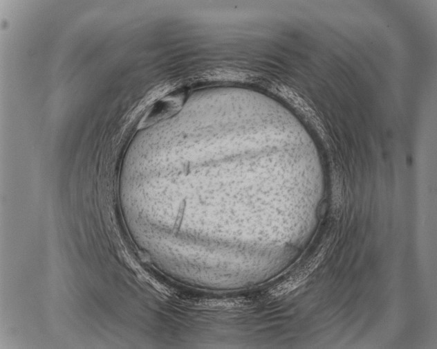 X0000087690625200705181755