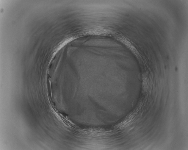 X0000087690626200705181755