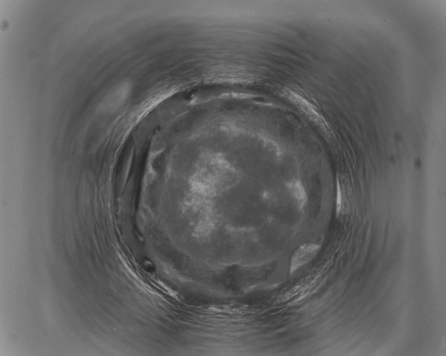 X0000087690627200705181755