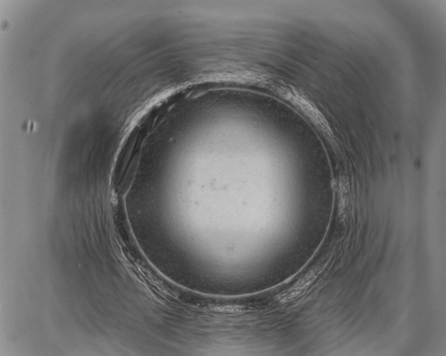 X0000087690628200705181755