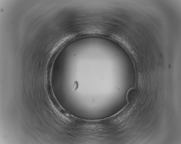 X0000087690629200705181755