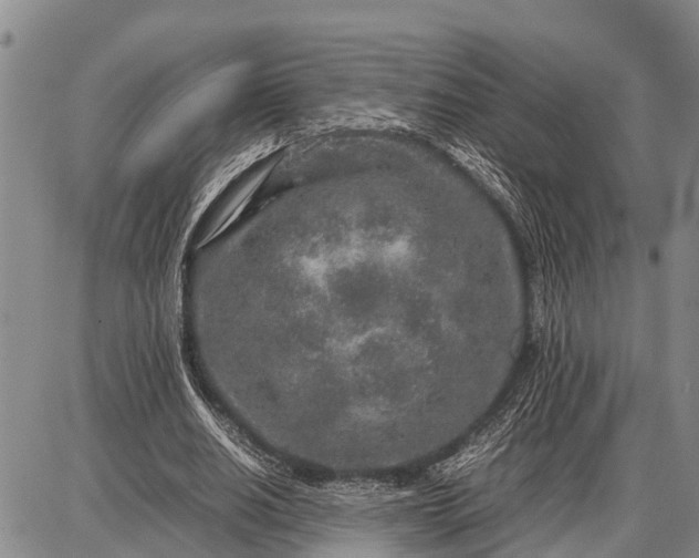 X0000087690630200705181755