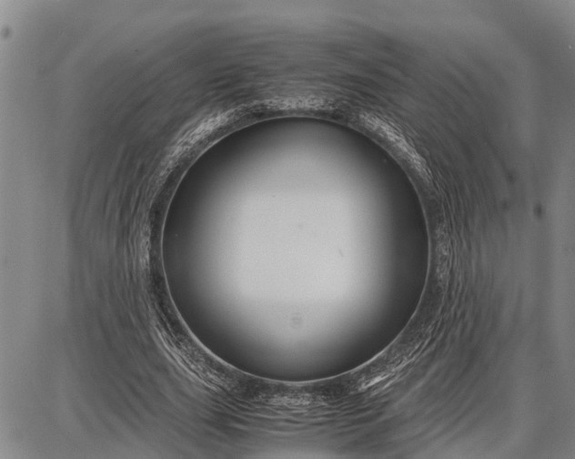 X0000087690631200705181755