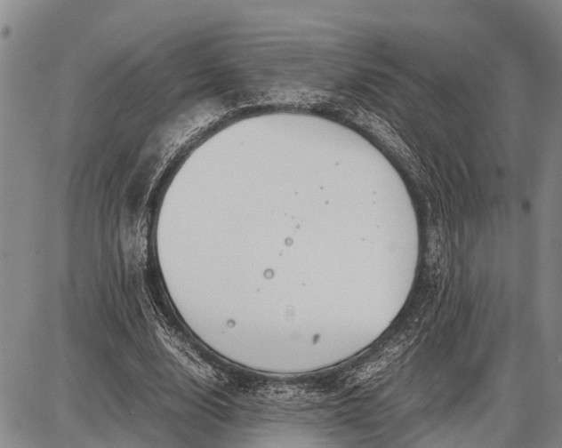 X0000087690632200705181755