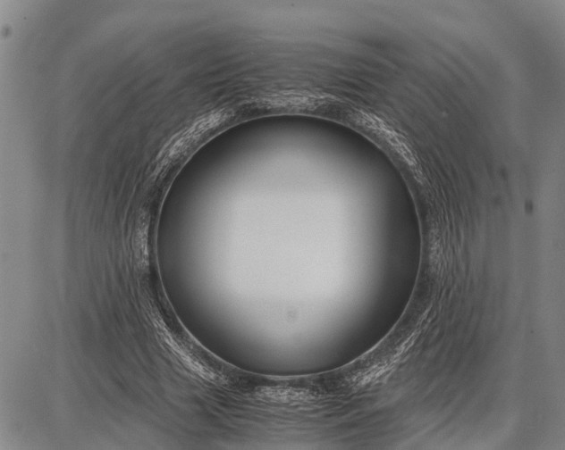 X0000087690633200705181755