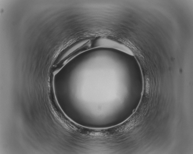 X0000087690634200705181755