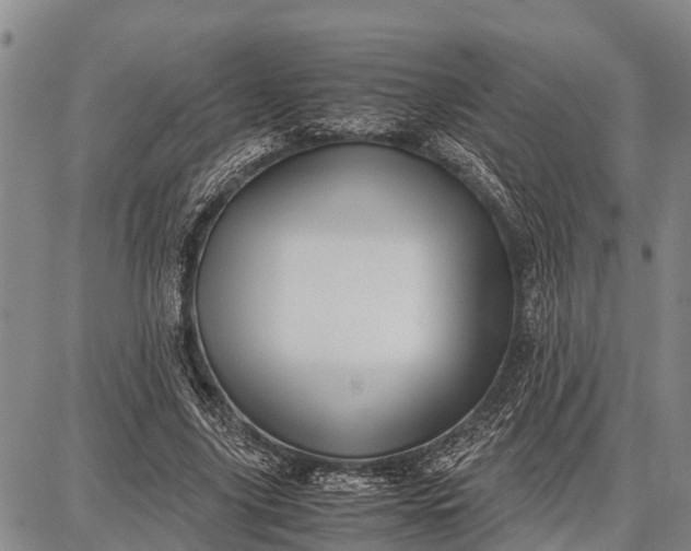 X0000087690635200705181755