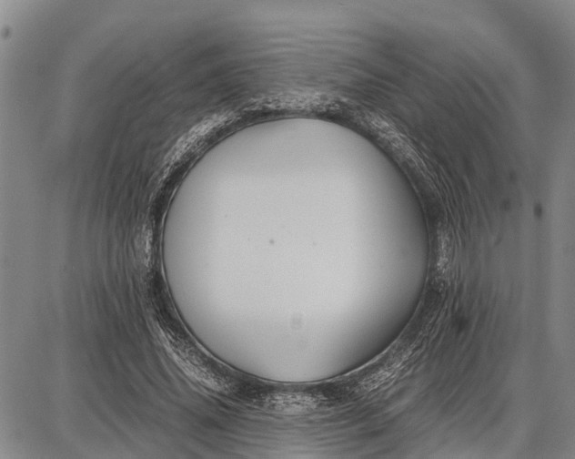 X0000087690636200705181755