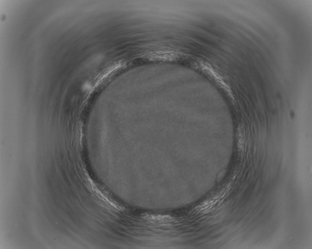 X0000087690637200705181755