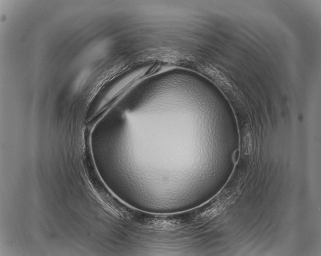 X0000087690638200705181755