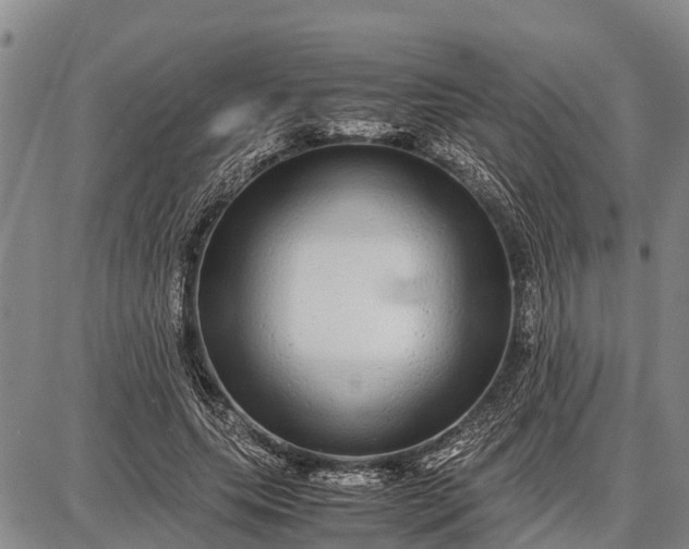 X0000087690639200705181755