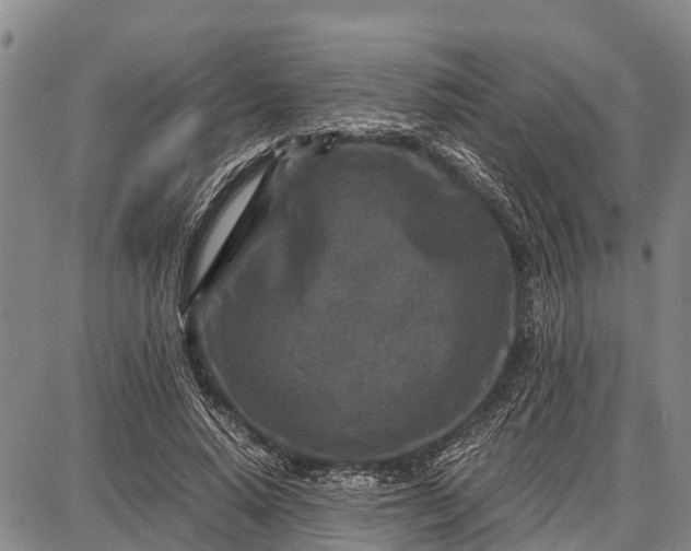 X0000087690640200705181755