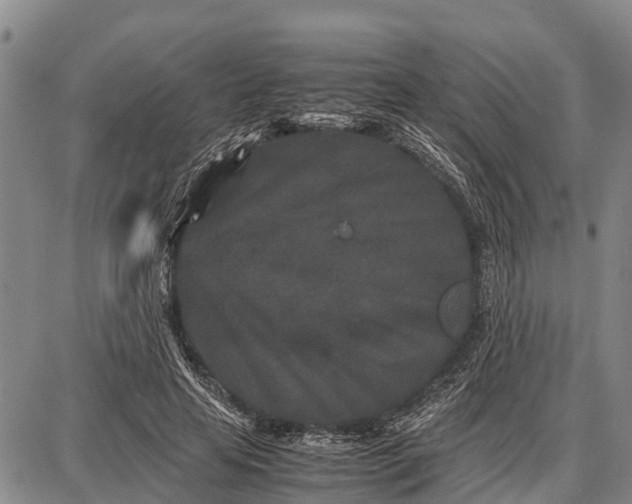 X0000087690641200705181755