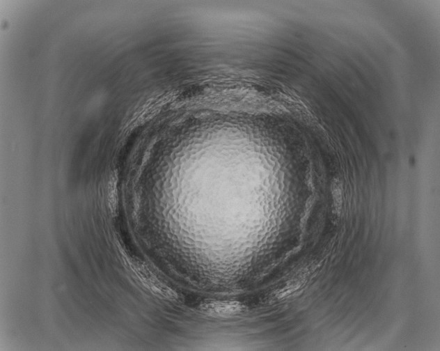 X0000087690642200705181756