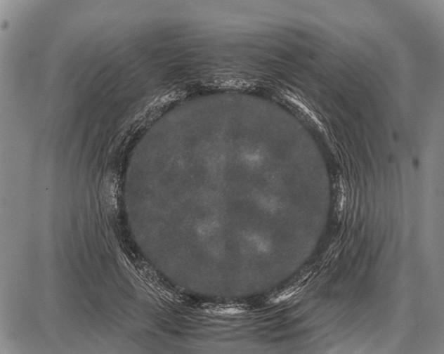 X0000087690643200705181756