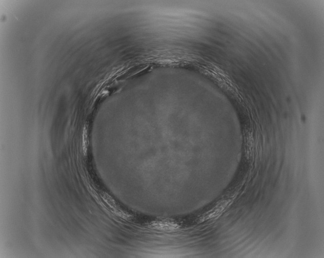 X0000087690644200705181756