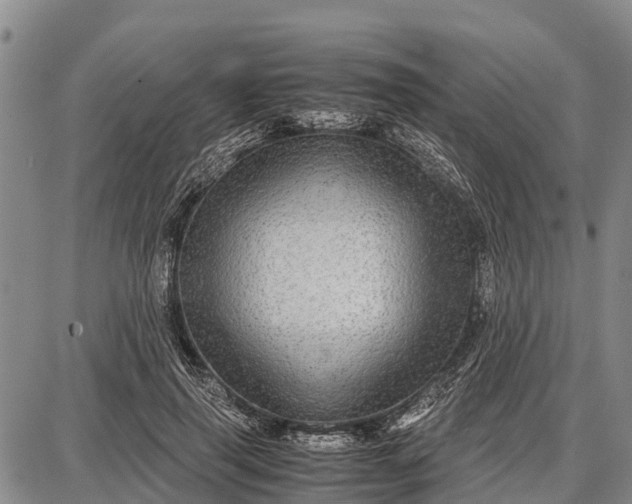 X0000087690645200705181756