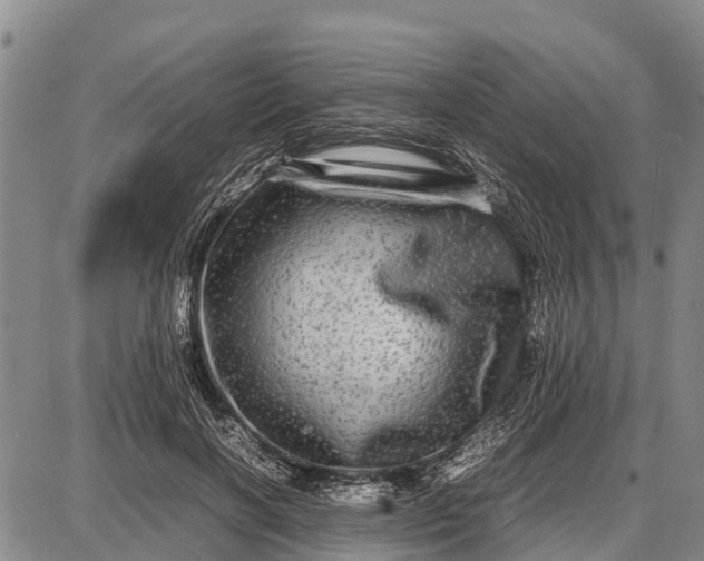 X0000087690646200705181756