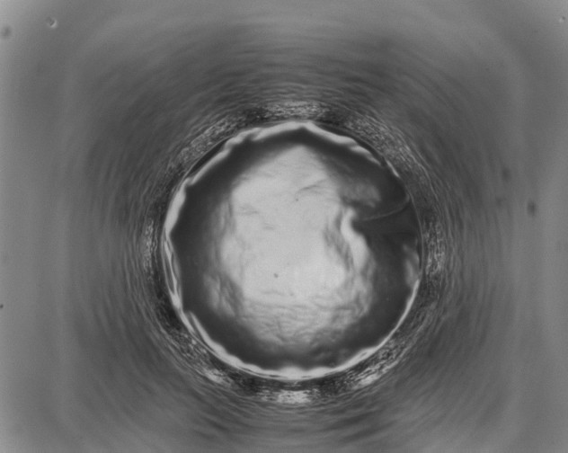 X0000087690647200705181756